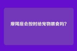 摩羯座会按时给宠物喂食吗？