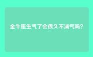 金牛座生气了会很久不消气吗？