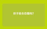 双子座会恐婚吗？