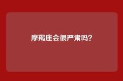 摩羯座会很严肃吗？