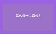 怎么分十二宫位？