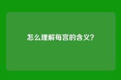 怎么理解每宫的含义？
