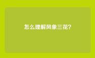 怎么理解风象三花？