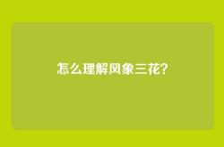 怎么理解风象三花？
