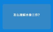 怎么理解水象三作？