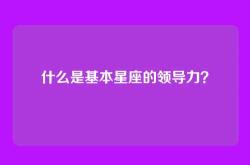 什么是基本星座的领导力？
