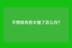 不想放弃但太慢了怎么办？