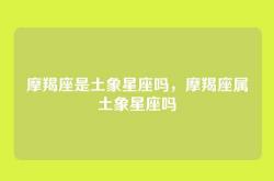 摩羯座是土象星座吗，摩羯座属土象星座吗