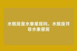 水瓶座是水象星座吗，水瓶座并非水象星座