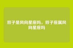 双子是风向星座吗，双子座属风向星座吗