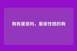 狗有星座吗，星座性格的狗