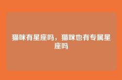 猫咪有星座吗，猫咪也有专属星座吗