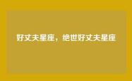 好丈夫星座，绝世好丈夫星座