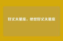 好丈夫星座，绝世好丈夫星座