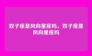 双子座是风向星座吗，双子座是风向星座吗
