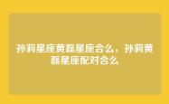 孙莉星座黄磊星座合么，孙莉黄磊星座配对合么
