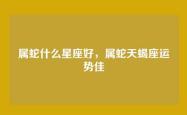 属蛇什么星座好，属蛇天蝎座运势佳