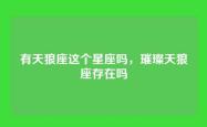 有天狼座这个星座吗，璀璨天狼座存在吗