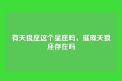 有天狼座这个星座吗，璀璨天狼座存在吗