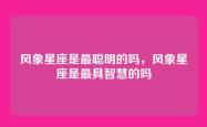 风象星座是最聪明的吗，风象星座是最具智慧的吗