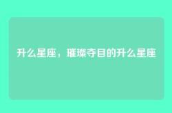 升么星座，璀璨夺目的升么星座