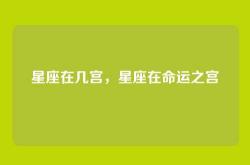 星座在几宫，星座在命运之宫