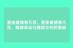 星座爱情看几宫，星座爱情看几宫，揭秘命运与情感交织的奥秘