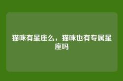 猫咪有星座么，猫咪也有专属星座吗