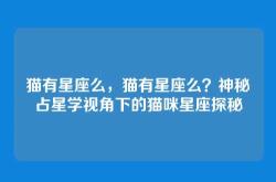猫有星座么，猫有星座么？神秘占星学视角下的猫咪星座探秘