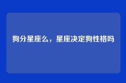 狗分星座么，星座决定狗性格吗