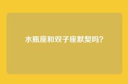 水瓶座和双子座默契吗？