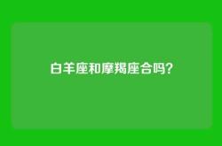 白羊座和摩羯座合吗？