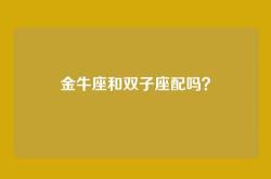 金牛座和双子座配吗？