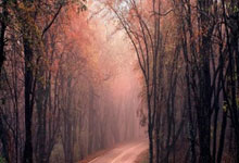 处女座的人真的吹毛求疵吗？