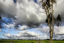 巨蟹座朋友生病会去探望吗？