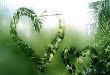 金牛座社交会很被动吗？