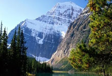 金牛座社交会很被动吗？