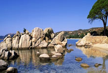 金牛座社交会很被动吗？