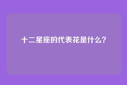 十二星座的代表花是什么？