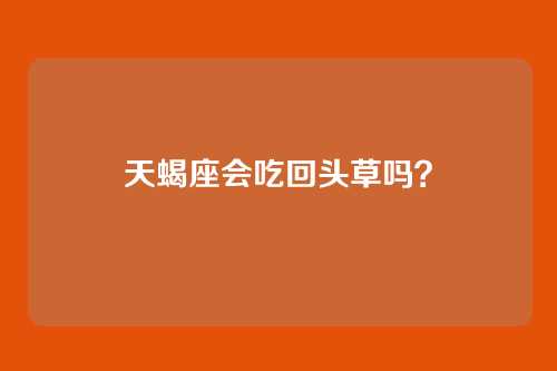 天蝎座会吃回头草吗？