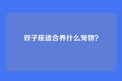 双子座适合养什么宠物？