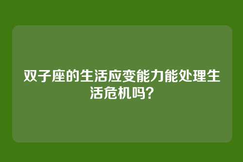双子座的生活应变能力能处理生活危机吗？
