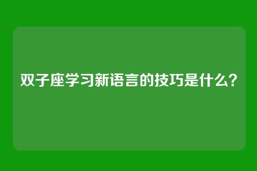 双子座学习新语言的技巧是什么？