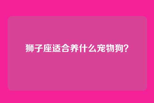 狮子座适合养什么宠物狗？
