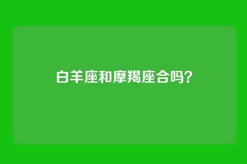 白羊座和摩羯座合吗？