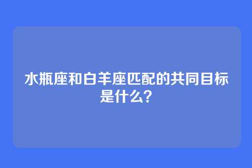 水瓶座和白羊座匹配的共同目标是什么？