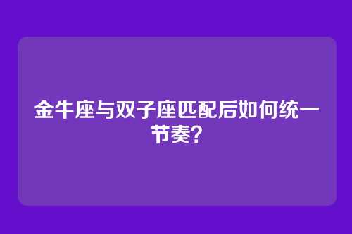 金牛座与双子座匹配后如何统一节奏？