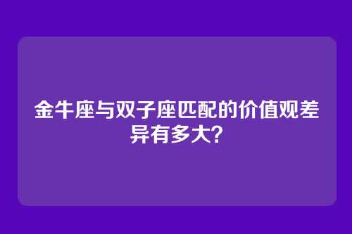 金牛座与双子座匹配的价值观差异有多大？