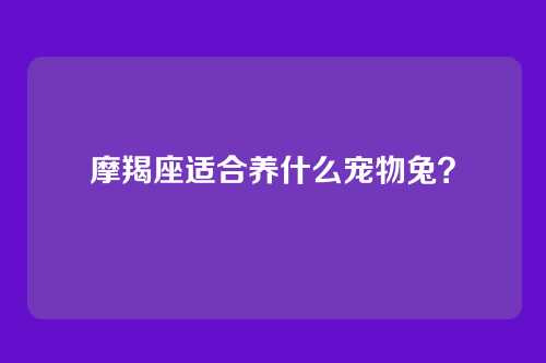 摩羯座适合养什么宠物兔？