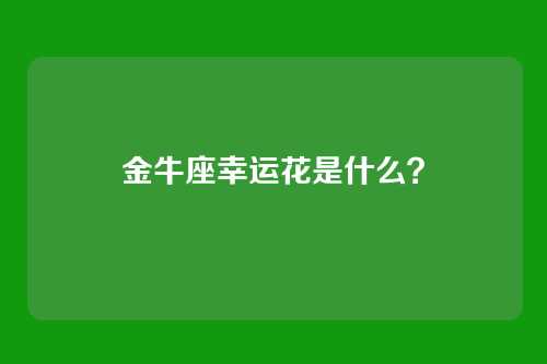 金牛座幸运花是什么？